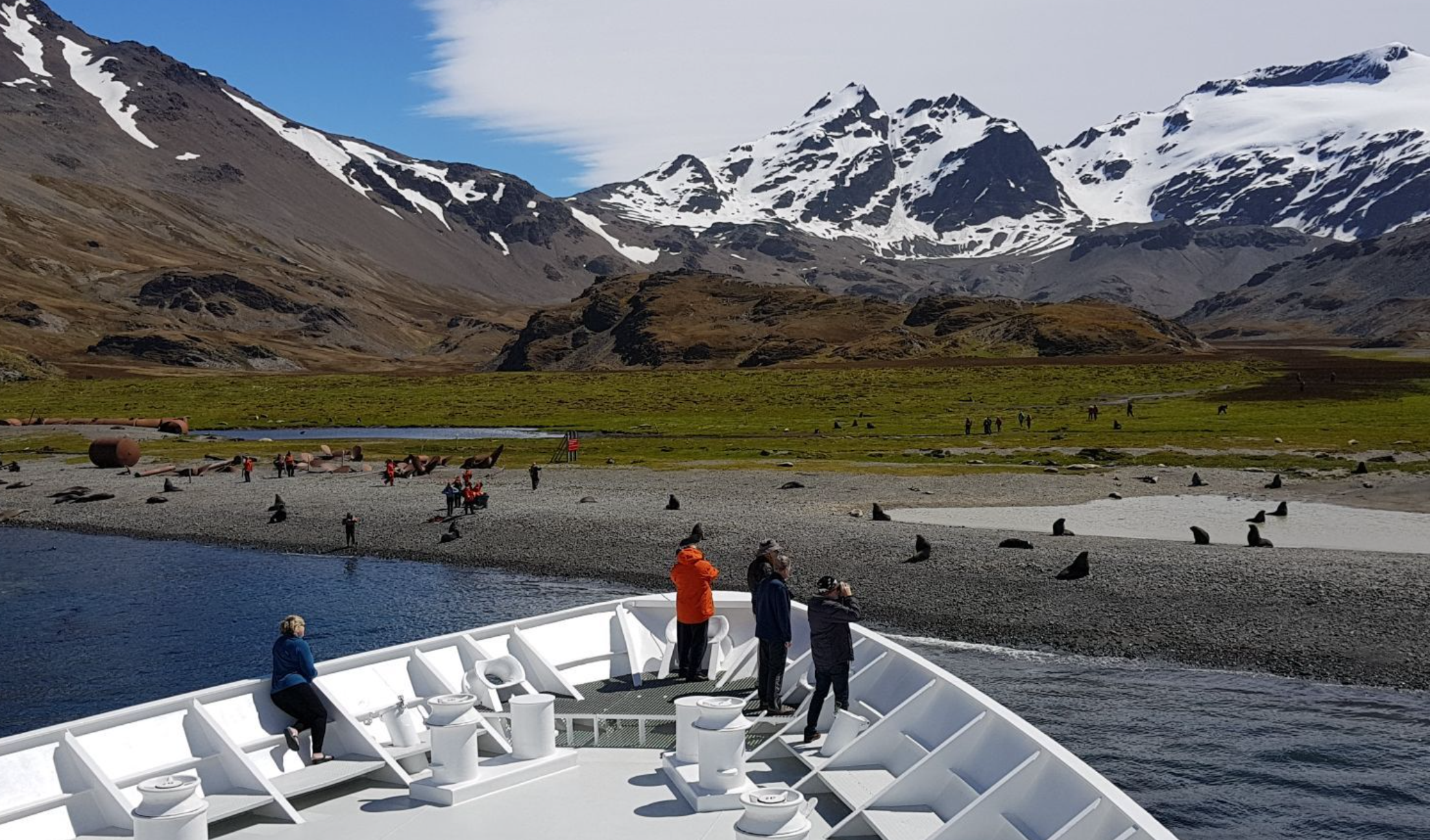 Georgia del Sur abre acceso a turistas; no hay influenza aviar